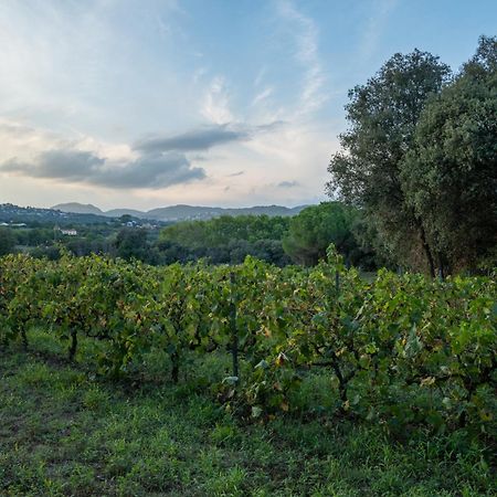 Casa Rural El Bruguer Vell Santa Eulalia de Ronsana Экстерьер фото