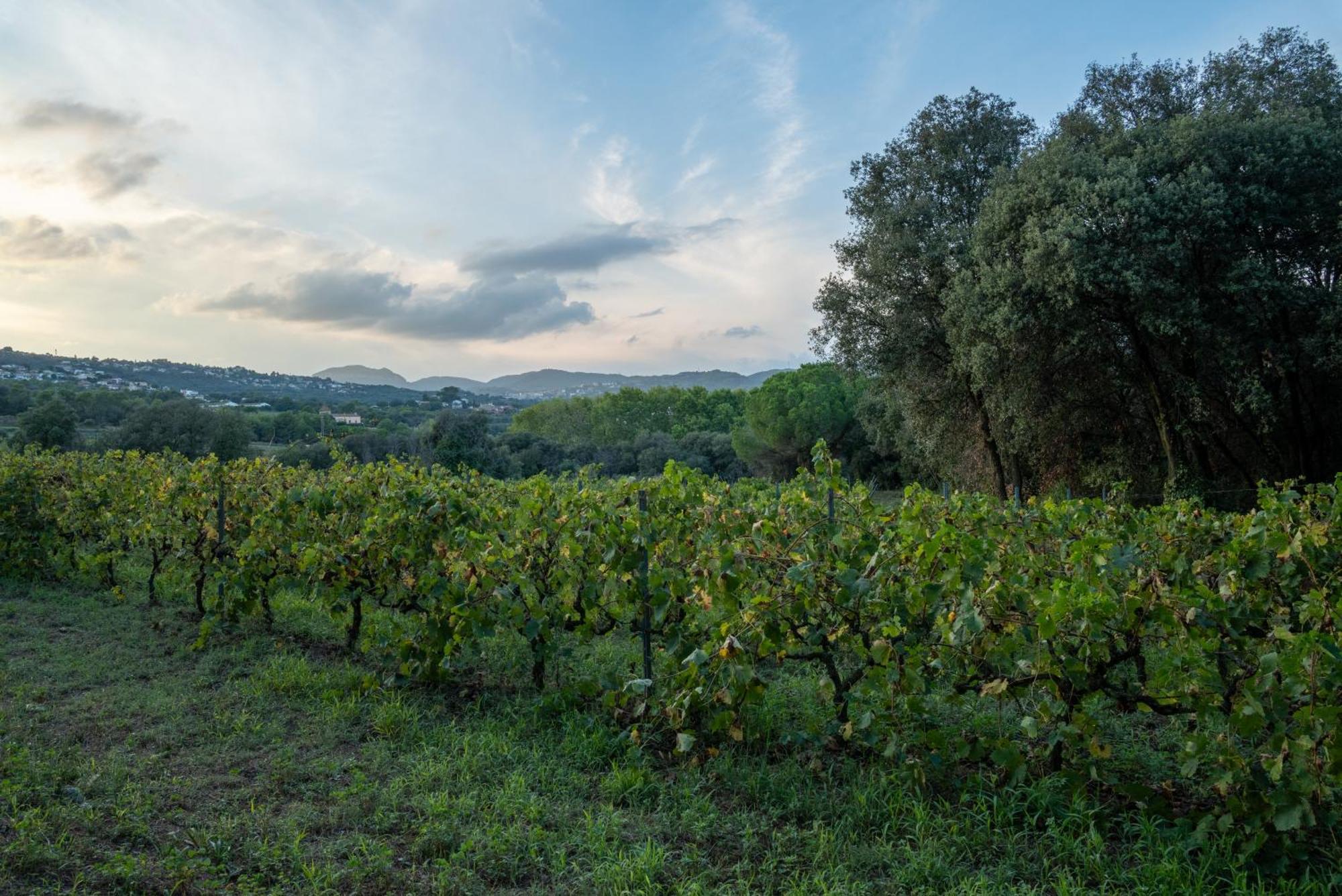 Casa Rural El Bruguer Vell Santa Eulalia de Ronsana Экстерьер фото